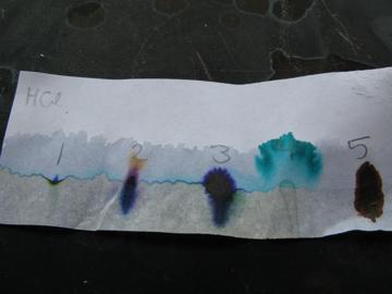 The hydrochloric labeled test strip shows extremely damaged 1 and 4 blobs, with major discoloration of 2