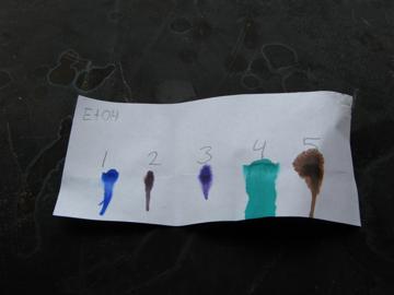 The ethanol labeled blotting strip shows broadening of 4 and 5